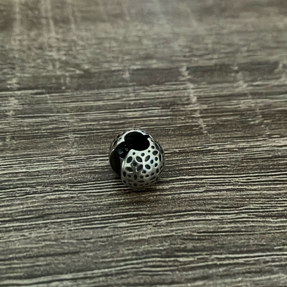 Pandora Silver Charm